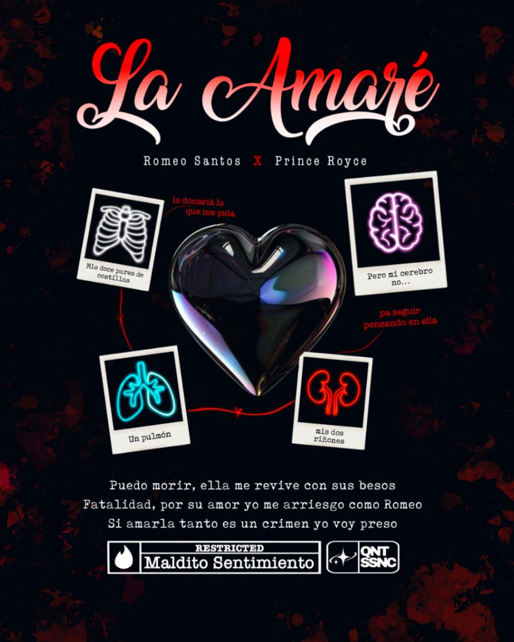 La Amaré – QNTSSNC